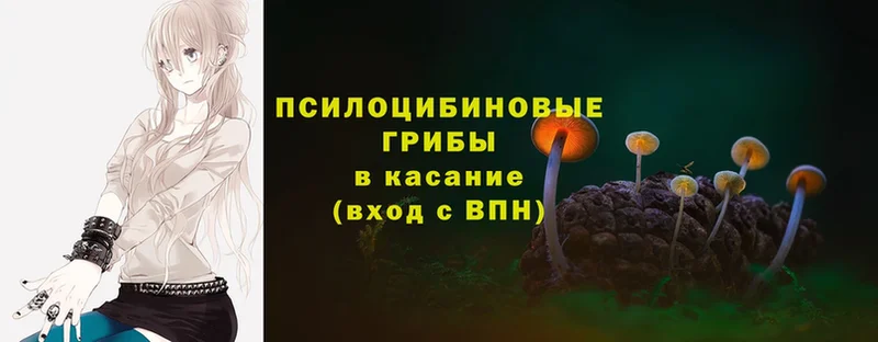 Псилоцибиновые грибы MAGIC MUSHROOMS  Нерчинск 